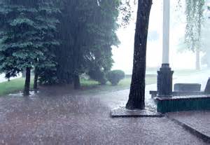 rain
